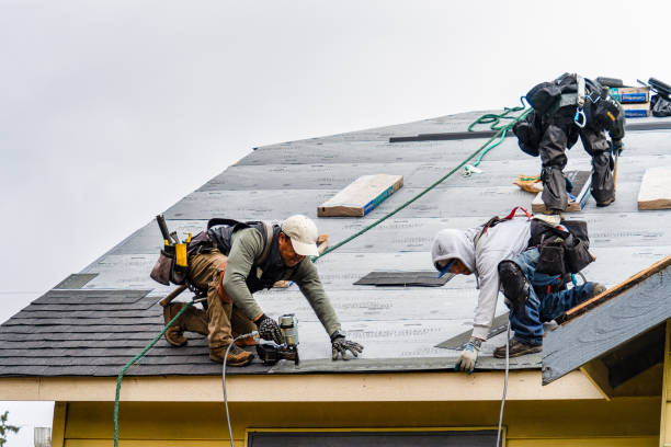 Professional Gutter Installation technician working in Hayfield, VA